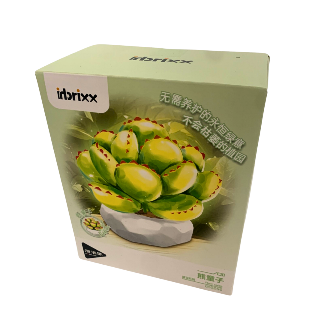 Inbrixx 655056 Botanical Series – Bear’s Paw Cotyledon Succulent