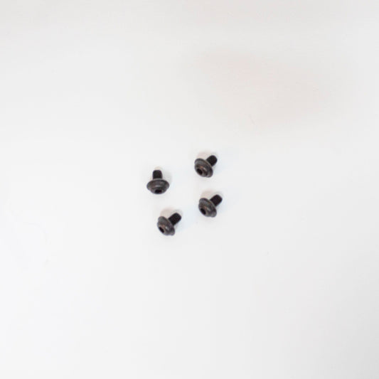 RING SELF TAPPING SCREW 2.5*4